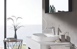 Grohe Eurodisc Joy - Páková umývadlová batéria M, chróm