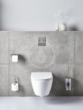 Grohe Arena Cosmopolitan S - Ovládacie tlačidlo splachovania, supersteel