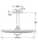 Grohe Rainshower Cosmopolitan - Hlavová sprcha 310, sprchové rameno 14 cm, 1 prúd, kefovaný tmavý grafit