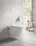 Grohe Euro Ceramic - Závesné WC, rimless, alpská biela