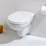 Ideal Standard Eurovit - Závesné WC, Rimless, biela