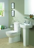 Ideal Standard Tempo - WC doska, biela