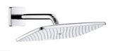 Hansgrohe Raindance E - Hlavová sprcha 360, s ramenom sprchy 24 cm, chróm